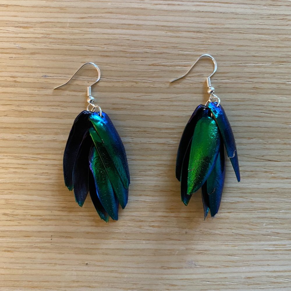 Iridescent Dangly Earrings